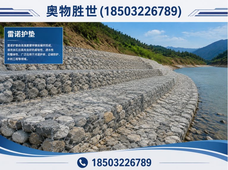 滁州雷诺护垫展示图